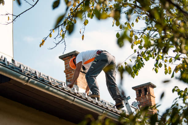 Best Shingle Roofing Installation  in Martin, SD