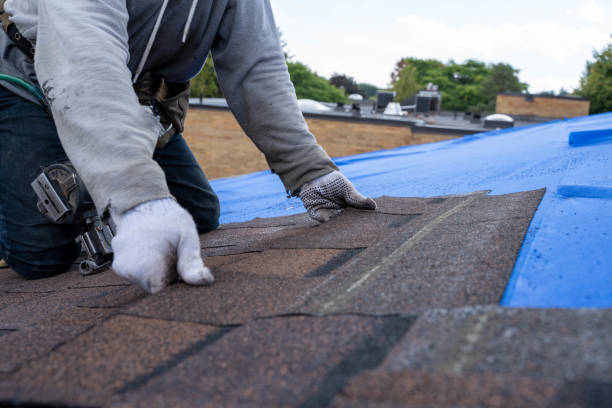 Best Best Roofing Contractors  in Martin, SD