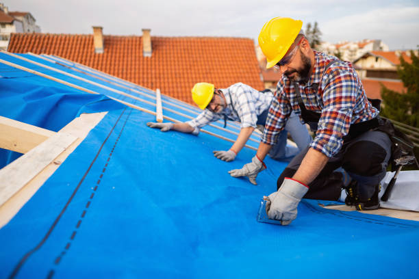 Best New Roof Installation  in Martin, SD