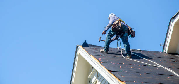 Best Roof Leak Repair  in Martin, SD